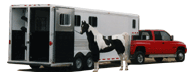 Centramatic Automatic Onboard Tire and Wheel Balancers