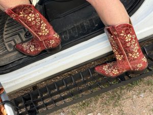 IMG_3641 (1) - Trailer and accessories, reviews and sales